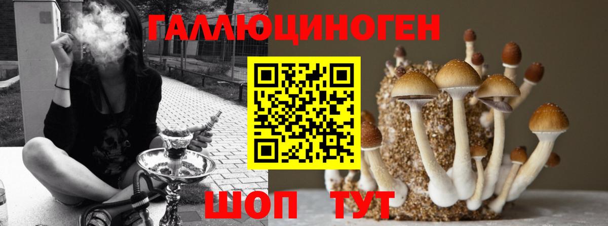 Тейково  Галлюциногенные грибы MAGIC MUSHROOMS  Вход с VPN 